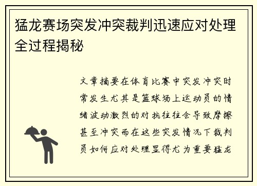 猛龙赛场突发冲突裁判迅速应对处理全过程揭秘